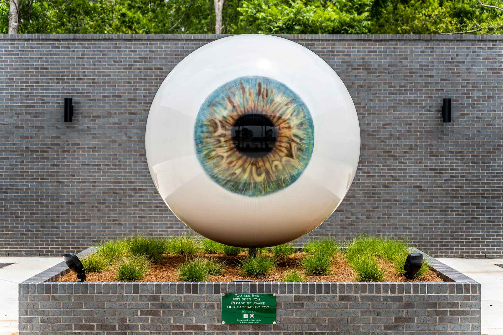 Shreveport Eye Specialists - Contact Lens